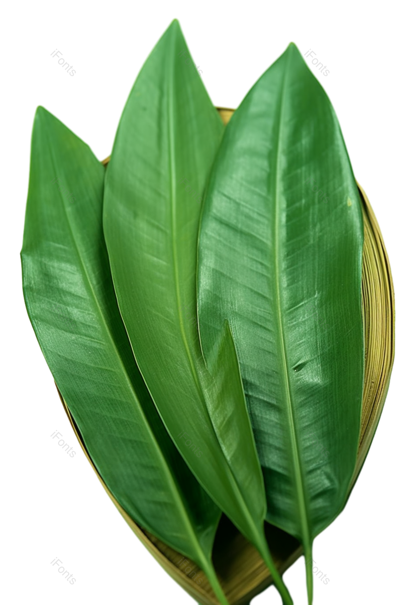 叶子图片,传统元素,传统文化PNG,传统节日免抠素材